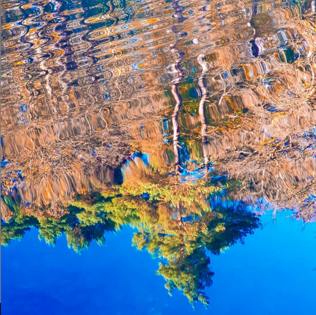 green and gold beech trees reflected in the water of Waggoners Wells